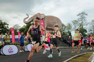 BIB: 
                            <button type="button" onclick="openModal(26528264)" class="btn btn-primary btn-sm float-right btn-popup" data-toggle="modal" data-target=".modal-high-quality">
                        <i class="fas fa-shopping-cart"></i> Add to Cart
                    </button>
                                            <button type="button" onclick="isThisMe(26528264, true)" class="btn btn-success btn-sm float-right btn-popup btn-isme hidden" data-toggle="tooltip" data-placement="bottom" title="นี่คือรูปของคุณใช่ไหม คลิกที่นี่เพื่อเอาเข้าอัลบั้ม">
                        <i class="fas fa-plus"></i> Add to album
                    </button>
                    <button type="button" onclick="isThisMe(26528264, false)" class="btn btn-warning btn-sm float-right btn-popup btn-isnotme hidden">
                        <i class="fas fa-ban"></i> Remove from album
                    </button>